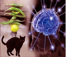 Gharelu Totke For Vashikaran